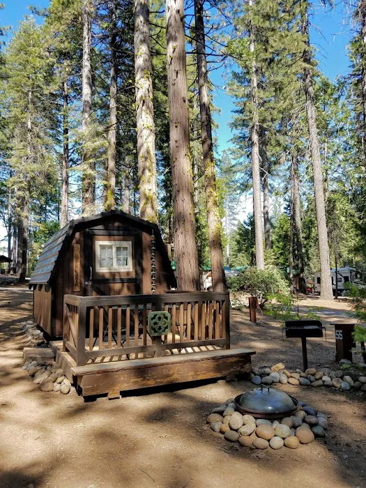 Golden Pines RV Resort and Campground - Arnold, CA Picture 7