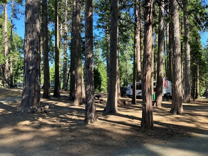 Golden Pines RV Resort and Campground - Arnold, CA Picture 8
