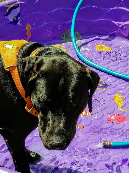 High Acres Mobile Home Park Picture 4