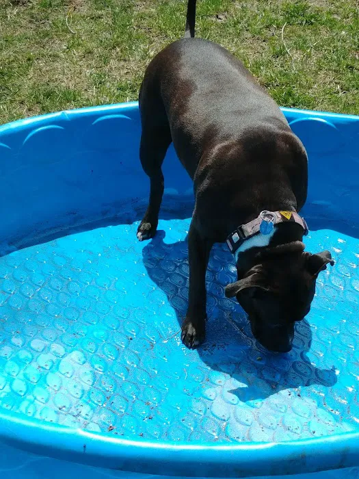 High Acres Mobile Home Park Picture 6