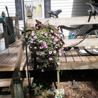 Cedar Village Community Home ico