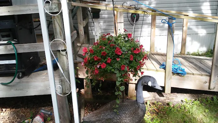 Cedar Village Community Home Picture 4