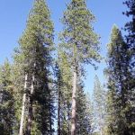 Wakalu Hep Yo Campground