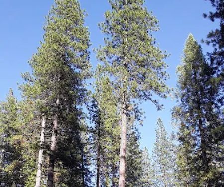 Wakalu Hep Yo Campground