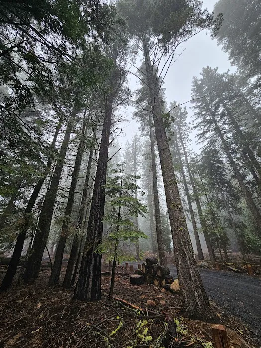 Black Springs OHV Campground Picture 5