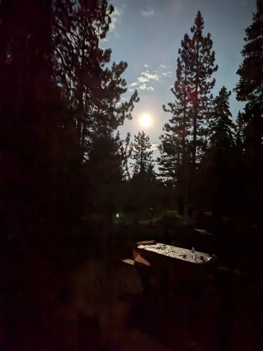 Black Springs OHV Campground Picture 4