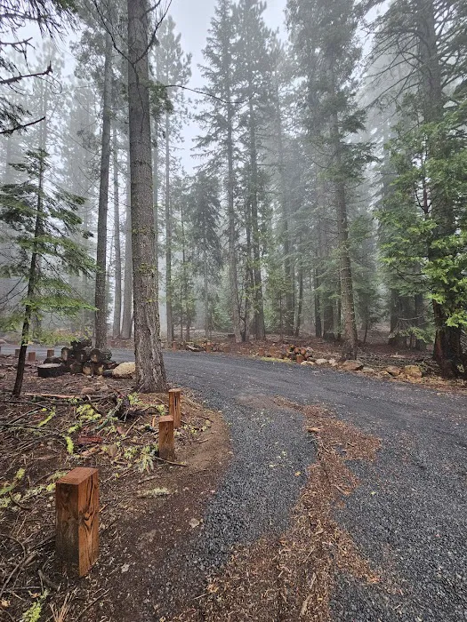 Black Springs OHV Campground Picture 7