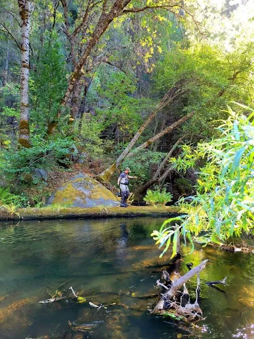 Sand Bar Flat Campground Picture 2