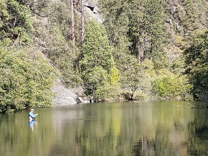 Sand Bar Flat Campground Picture 4