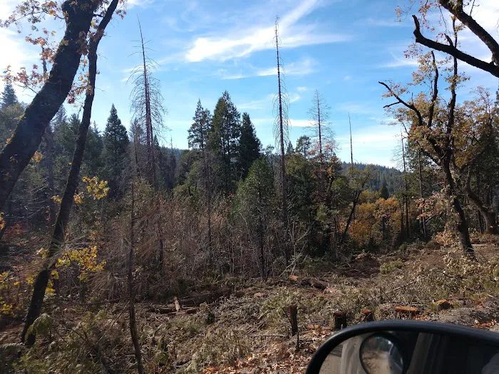 Sand Bar Flat Campground Picture 10