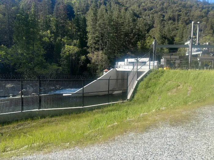 Sand Bar Flat Campground Picture 7