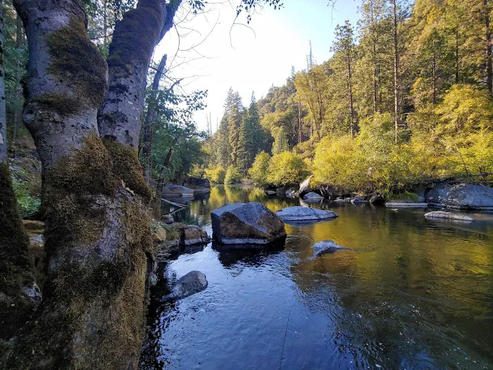 Sand Bar Flat Campground Picture 3