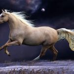 Golden Valley Trailer Court