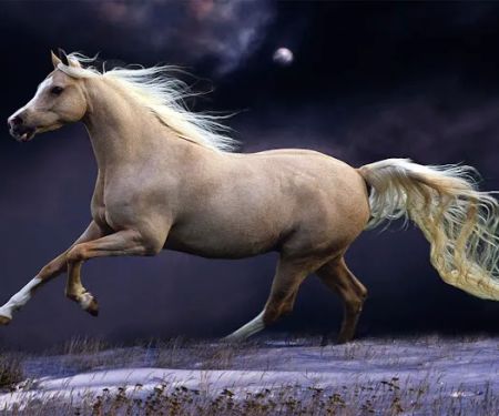 Golden Valley Trailer Court