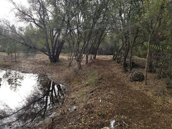 Squirrel Rock RV Campground Picture 7