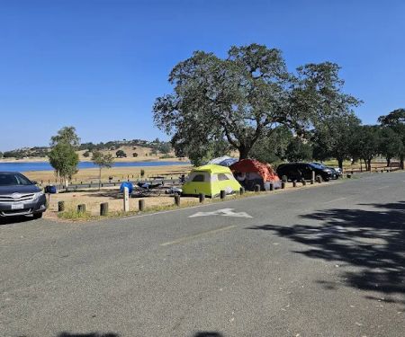 Camanche Lake Blue Oaks Campground North Shore