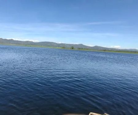 Rocksteady Adventures