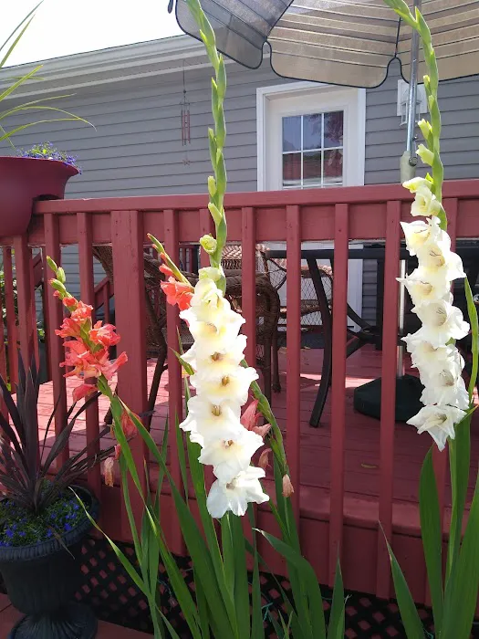 Coachlight Estates Picture 7