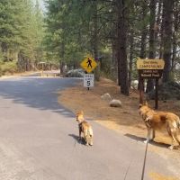 Beardsley Dam Campground ico