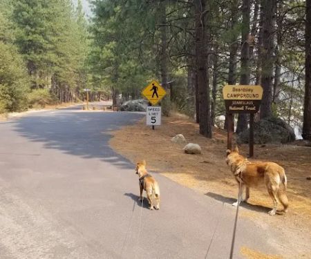 Beardsley Dam Campground