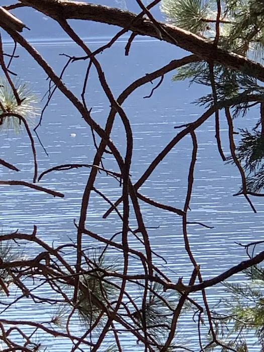 Beardsley Dam Campground Picture 10