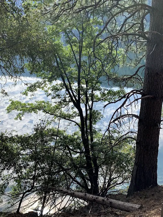 Beardsley Dam Campground Picture 8