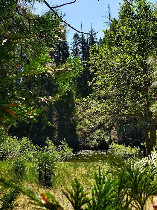 Fraser Flat Campground Picture 5