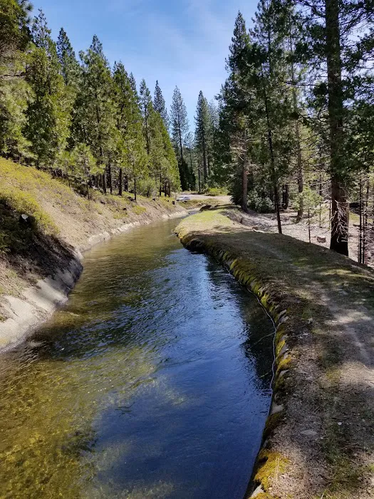 Fraser Flat Campground Picture 6