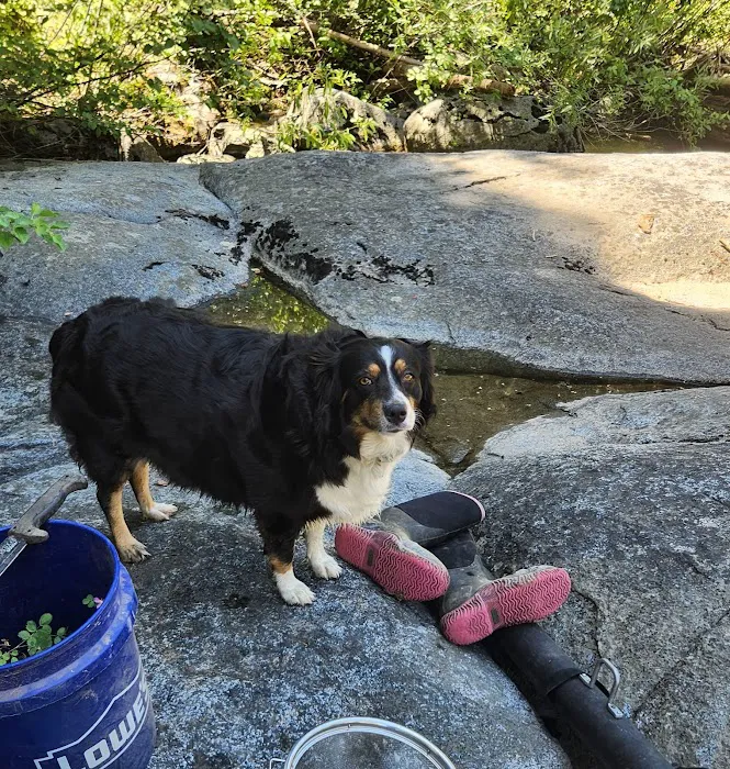 Fraser Flat Campground Picture 10