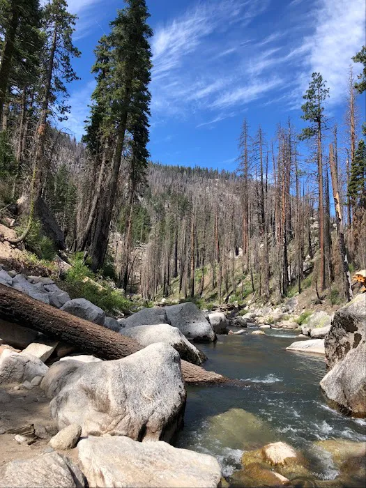 Brightman Flat Campground Picture 2