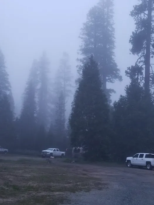 Brightman Flat Campground Picture 8