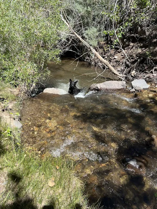 Desert Creek Campground Picture 1