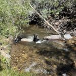 Desert Creek Campground