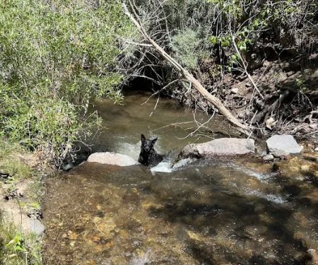 Desert Creek Campground