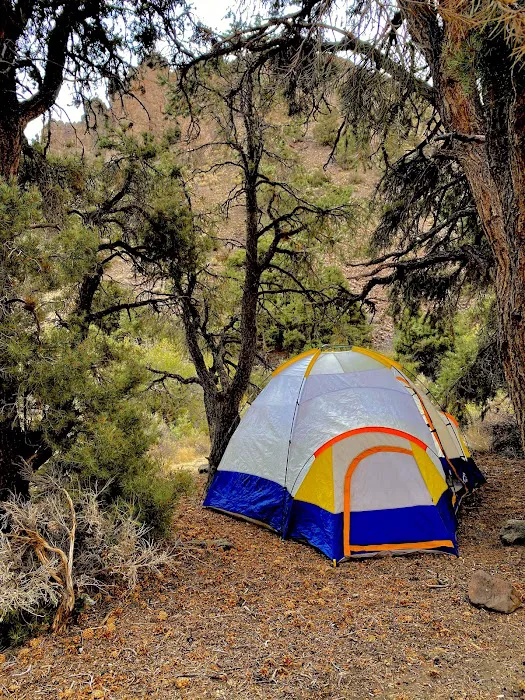 Desert Creek Campground Picture 8