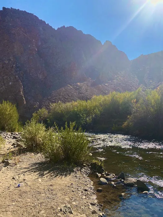 Desert Creek Campground Picture 4