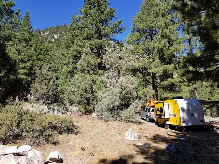 Bootleg Campground Picture 3