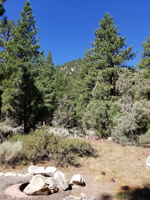 Bootleg Campground Picture 6