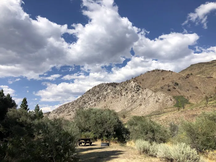 Chris Flat Campground Picture 3
