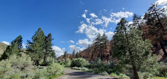 Chris Flat Campground Picture 4