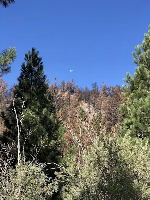 Chris Flat Campground Picture 6