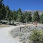 Sonora Bridge Campground