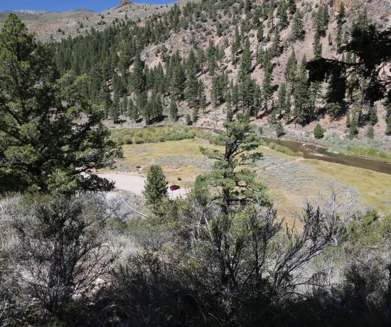 Sonora Bridge Campground Picture 2