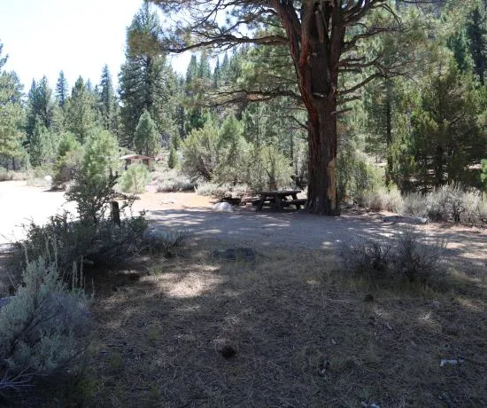 Sonora Bridge Campground Picture 4