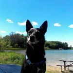 Oak Lane Mobile Home Park