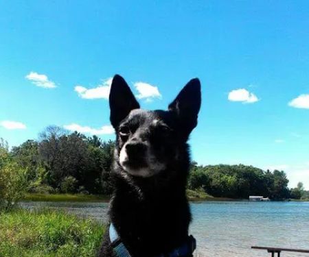 Oak Lane Mobile Home Park