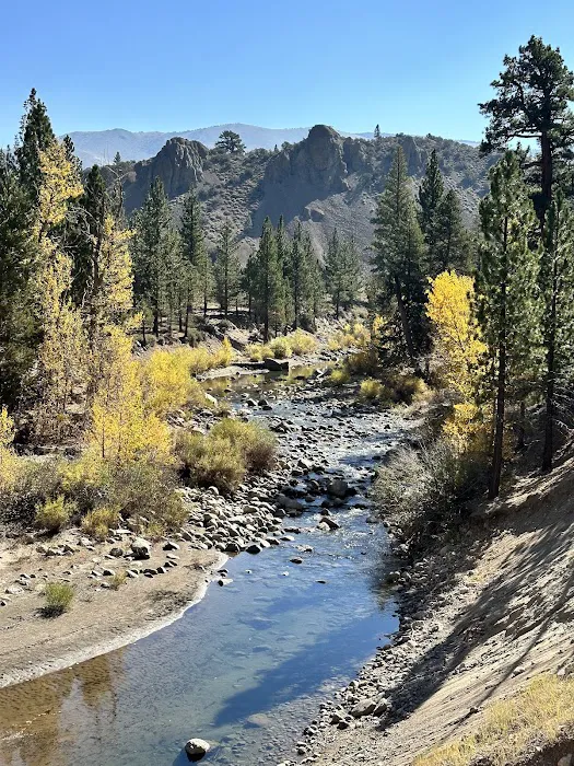 Leavitt Meadows Trailhead and Campground Picture 2