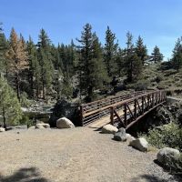 Leavitt Meadows Trailhead and Campground ico