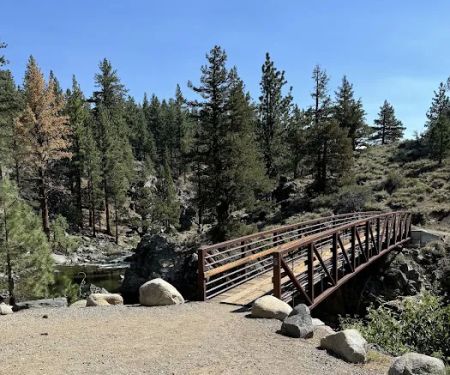Leavitt Meadows Trailhead and Campground