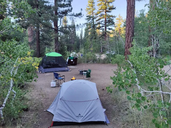 Leavitt Meadows Trailhead and Campground Picture 4
